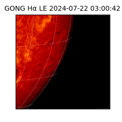 gong - 2024-07-22T03:00:42