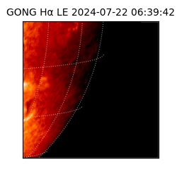 gong - 2024-07-22T06:39:42