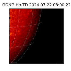 gong - 2024-07-22T08:00:22