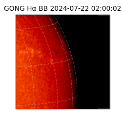 gong - 2024-07-22T02:00:02