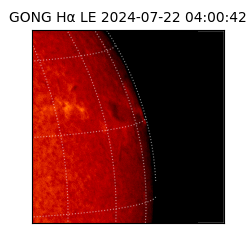 gong - 2024-07-22T04:00:42