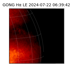 gong - 2024-07-22T06:39:42