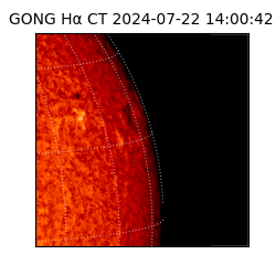 gong - 2024-07-22T14:00:42