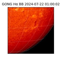 gong - 2024-07-22T01:00:02