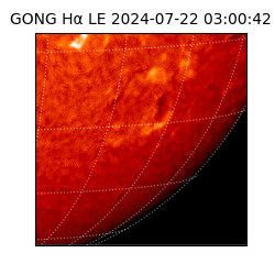 gong - 2024-07-22T03:00:42