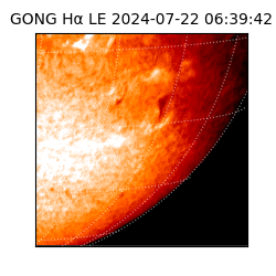 gong - 2024-07-22T06:39:42