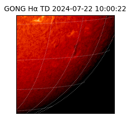 gong - 2024-07-22T10:00:22