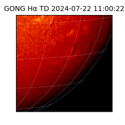 gong - 2024-07-22T11:00:22