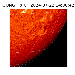 gong - 2024-07-22T14:00:42