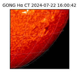 gong - 2024-07-22T16:00:42