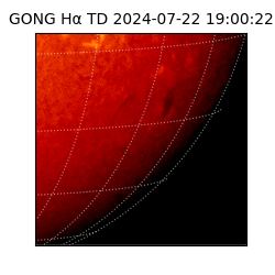 gong - 2024-07-22T19:00:22