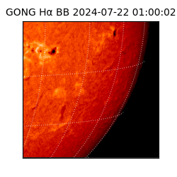 gong - 2024-07-22T01:00:02