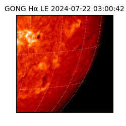 gong - 2024-07-22T03:00:42