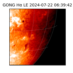 gong - 2024-07-22T06:39:42