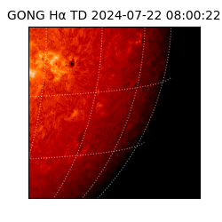 gong - 2024-07-22T08:00:22