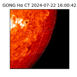 gong - 2024-07-22T16:00:42