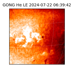 gong - 2024-07-22T06:39:42