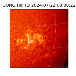 gong - 2024-07-22T08:00:22