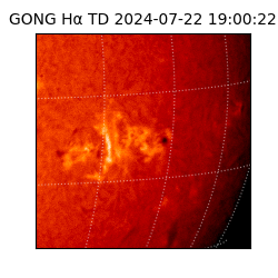 gong - 2024-07-22T19:00:22