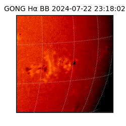 gong - 2024-07-22T23:18:02