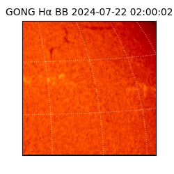 gong - 2024-07-22T02:00:02