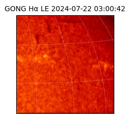 gong - 2024-07-22T03:00:42