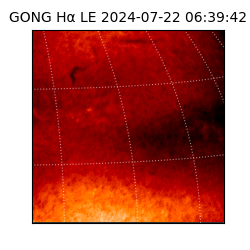 gong - 2024-07-22T06:39:42