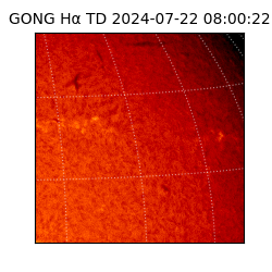 gong - 2024-07-22T08:00:22