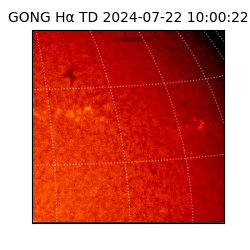 gong - 2024-07-22T10:00:22