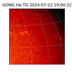 gong - 2024-07-22T19:00:22