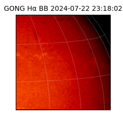 gong - 2024-07-22T23:18:02