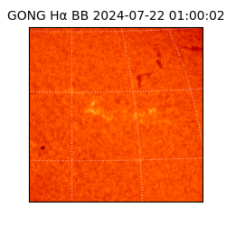 gong - 2024-07-22T01:00:02