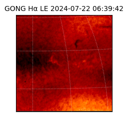 gong - 2024-07-22T06:39:42