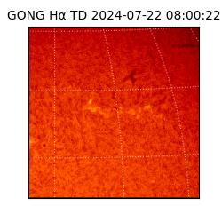 gong - 2024-07-22T08:00:22