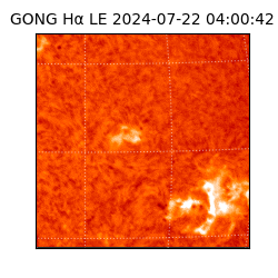 gong - 2024-07-22T04:00:42