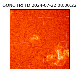 gong - 2024-07-22T08:00:22