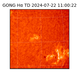 gong - 2024-07-22T11:00:22