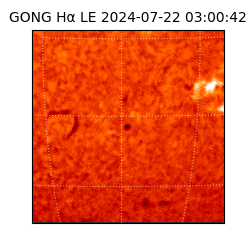 gong - 2024-07-22T03:00:42