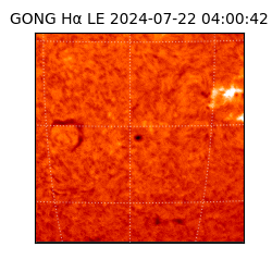 gong - 2024-07-22T04:00:42