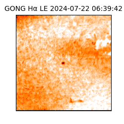 gong - 2024-07-22T06:39:42