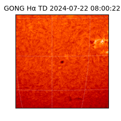 gong - 2024-07-22T08:00:22