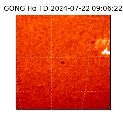 gong - 2024-07-22T09:06:22