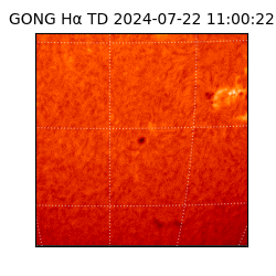 gong - 2024-07-22T11:00:22