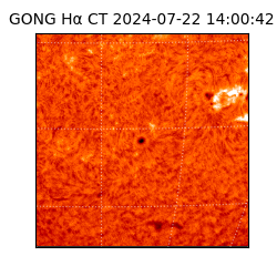 gong - 2024-07-22T14:00:42