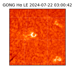 gong - 2024-07-22T03:00:42