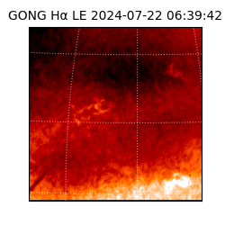 gong - 2024-07-22T06:39:42