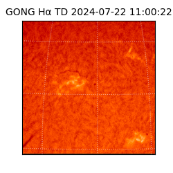 gong - 2024-07-22T11:00:22