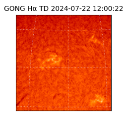 gong - 2024-07-22T12:00:22