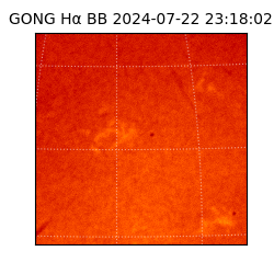 gong - 2024-07-22T23:18:02