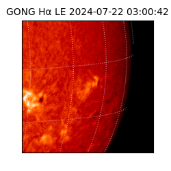 gong - 2024-07-22T03:00:42